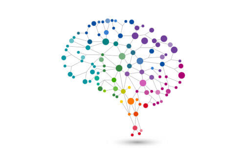 Neurofeedback Rentals