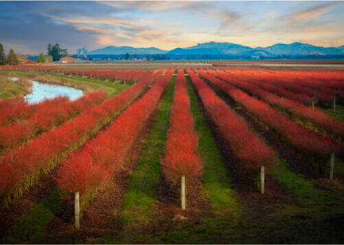 International Excursions